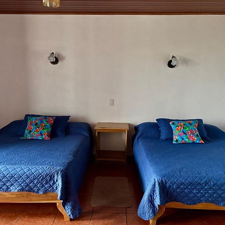 Monteverde Ecolodge Bagian luar foto